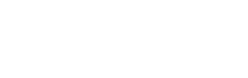 Veefly