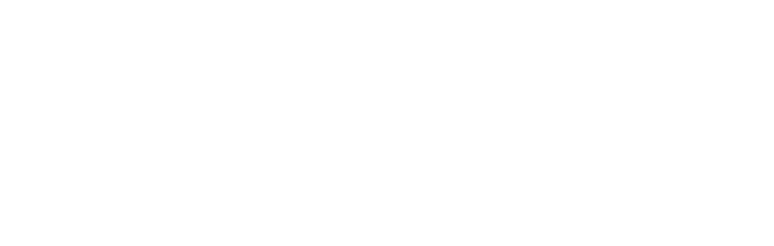 Veefly Blog